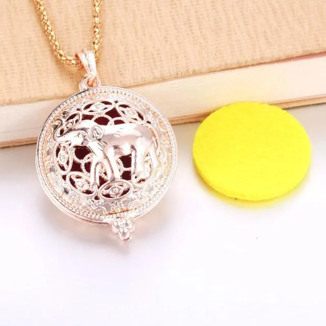 Essential Oil / Perfume Diffusing Locket Necklace