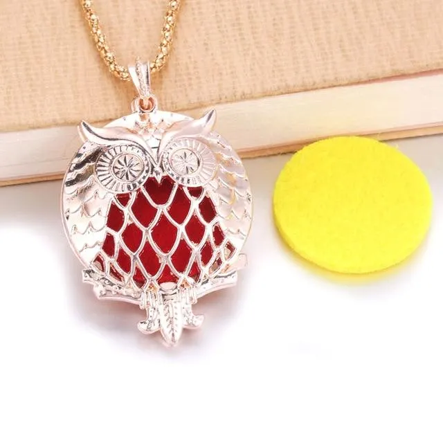 Essential Oil / Perfume Diffusing Locket Necklace